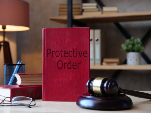 DOMESTIC RELATIONSHIP PERSONAL PROTECTION ORDERS.